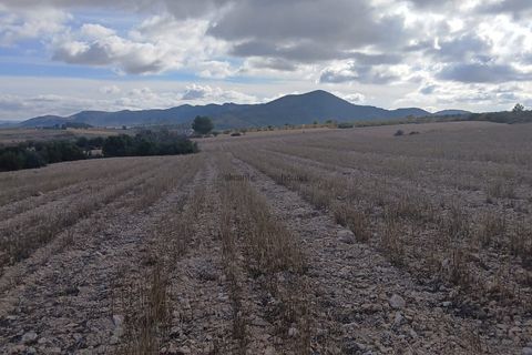 Terra a Yecla, Murcia, Yecla - € 216.460 | Ref: ETA237 - foto 20