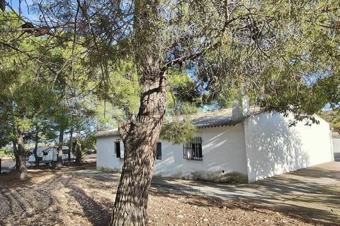 Landejendom i Yecla, Murcia, Yecla - € 210.000 | Ref: CM2999 - foto 11