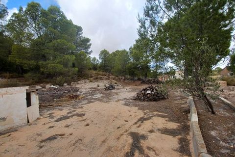 Landejendom i Yecla, Murcia, Yecla - € 199.995 | Ref: PT3126 - foto 32
