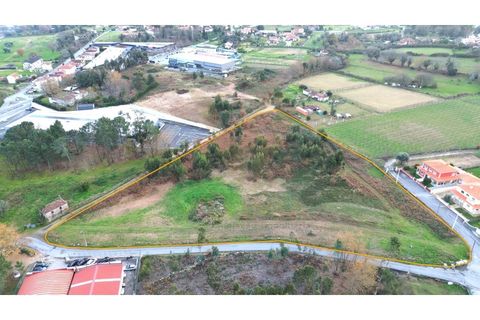 Helårsgrund i Ponte de Lima, Viana do Castelo, Ponte de Lima - € 950.000 | Ref: V354 - foto 3