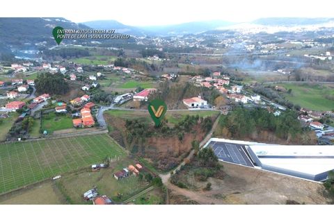 Helårsgrund i Ponte de Lima, Viana do Castelo, Ponte de Lima - € 950.000 | Ref: V354 - foto 4