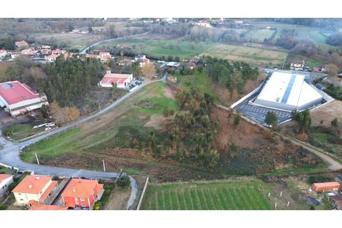 Helårsgrund i Ponte de Lima, Viana do Castelo, Ponte de Lima - € 950.000 | Ref: V354 - foto 7