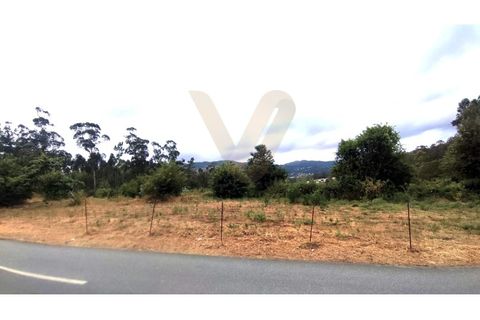 Helårsgrund i Ponte de Lima, Viana do Castelo, Ponte de Lima - € 175.000 | Ref: V381 - foto 4