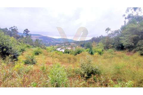 Helårsgrund i Ponte de Lima, Viana do Castelo, Ponte de Lima - € 175.000 | Ref: V381 - foto 5