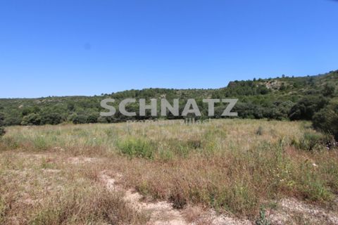 Finca i Jalon, Alicante, Jalon - € 795.000 | Ref: JA5457 - foto 34