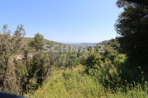 Finca i Jalon, Alicante, Jalon - € 795.000 | Ref: JA5457 - foto 35