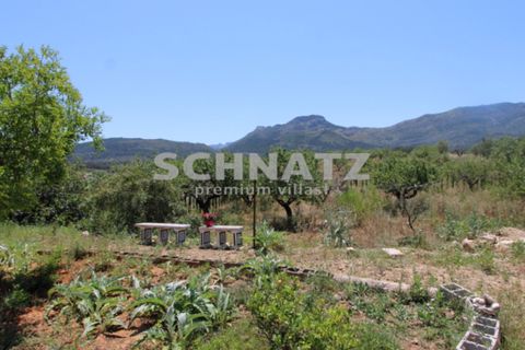 Finca i Jalon, Alicante, Jalon - € 795.000 | Ref: JA5457 - foto 36