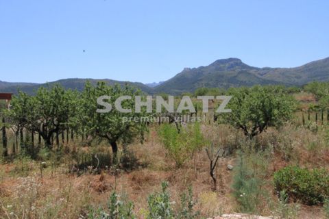 Finca i Jalon, Alicante, Jalon - € 795.000 | Ref: JA5457 - foto 37
