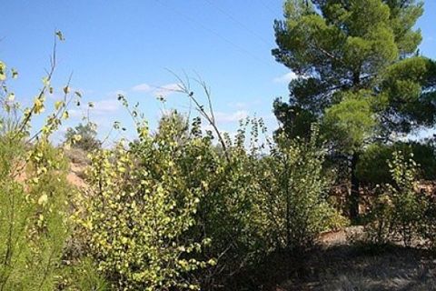 Grond in Ayora, Valencia, Ayora - € 33.000 | Ref: S-1494868 - foto 2
