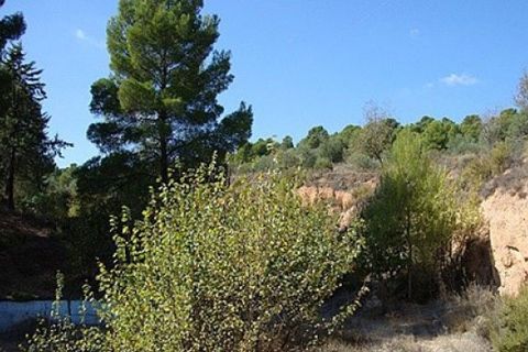 Grond in Ayora, Valencia, Ayora - € 33.000 | Ref: S-1494868 - foto 3