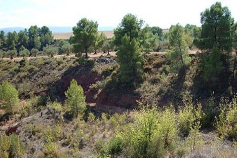 Grond in Ayora, Valencia, Ayora - € 33.000 | Ref: S-1494868 - foto 6