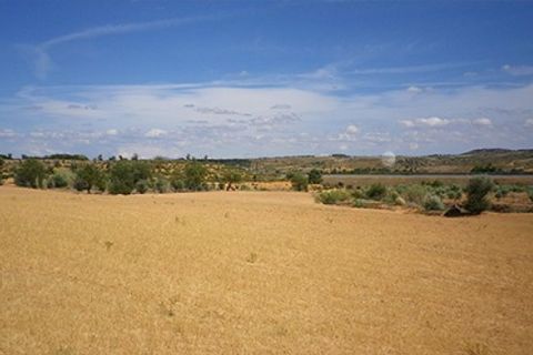 Helårsgrund i Almansa, Albacete, Almansa - € 64.000 | Ref: S-1494915 - foto 2