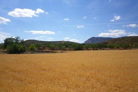 Helårsgrund i Almansa, Albacete, Almansa - € 64.000 | Ref: S-1494915 - foto 3