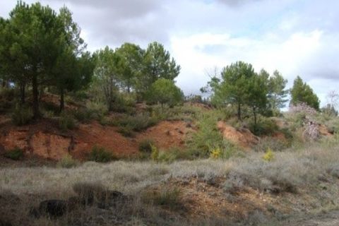 Grond in Ayora, Valencia, Ayora - € 54.000 | Ref: S-1494933 - foto 3