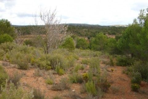 Grond in Ayora, Valencia, Ayora - € 54.000 | Ref: S-1494933 - foto 4