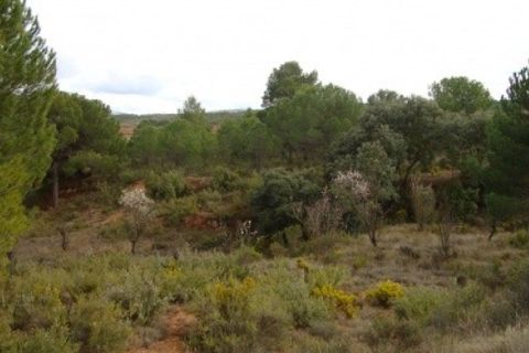 Grond in Ayora, Valencia, Ayora - € 54.000 | Ref: S-1494933 - foto 7