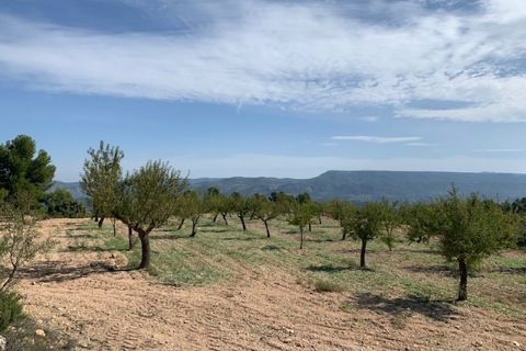 Finca i Jarafuel, Valencia, Jarafuel - € 260.000 | Ref: S-1495603 - foto 2