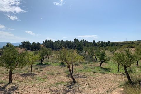 Finca i Jarafuel, Valencia, Jarafuel - € 260.000 | Ref: S-1495603 - foto 10