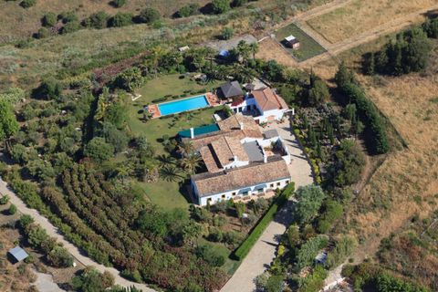 Villa i Sotogrande, Cadiz, Sotogrande - € 6.000.000 | Ref: S-1495685 - foto 10