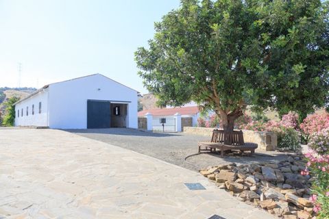 Villa i Sotogrande, Cadiz, Sotogrande - € 6.000.000 | Ref: S-1495685 - foto 18