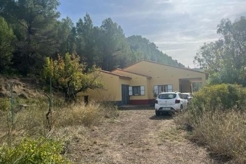 Finca i Jalance, Valencia, Jalance - € 99.000 | Ref: S-1495980 - foto 14