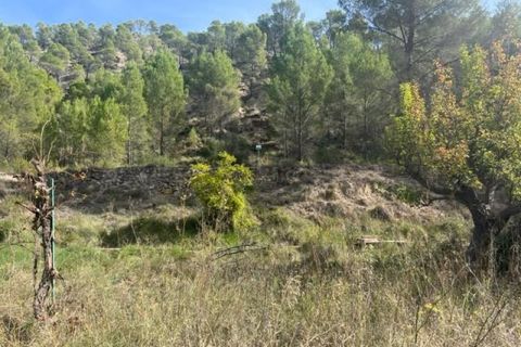 Finca i Jalance, Valencia, Jalance - € 99.000 | Ref: S-1495980 - foto 17
