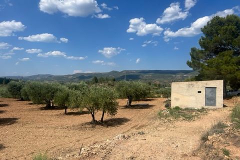 Finca i Zarra, Valencia, Zarra - € 45.000 | Ref: S-1523869 - foto 1