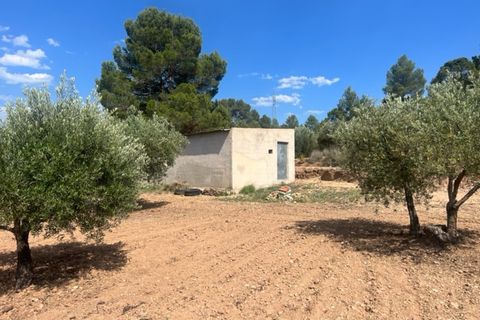 Finca i Zarra, Valencia, Zarra - € 45.000 | Ref: S-1523869 - foto 6
