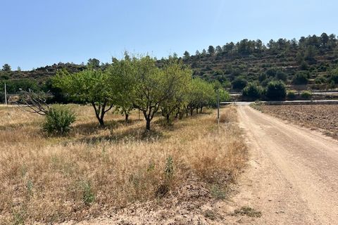Villa i Ayora, Valencia, Ayora - € 149.000 | Ref: S-1576727 - foto 4
