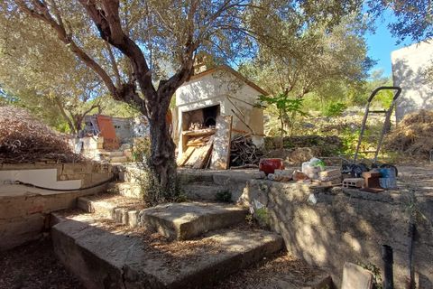 Finca i Oliva, Valencia, Oliva - € 314.000 | Ref: S-1580400 - foto 11