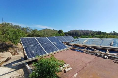 Finca i Oliva, Valencia, Oliva - € 314.000 | Ref: S-1580400 - foto 12