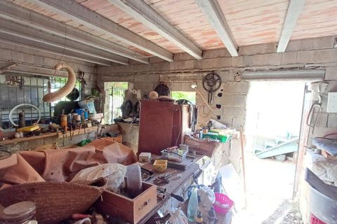 Finca i Oliva, Valencia, Oliva - € 314.000 | Ref: S-1580400 - foto 13