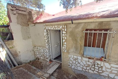 Finca i Oliva, Valencia, Oliva - € 314.000 | Ref: S-1580400 - foto 24