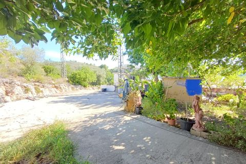 Finca i Oliva, Valencia, Oliva - € 314.000 | Ref: S-1580400 - foto 28