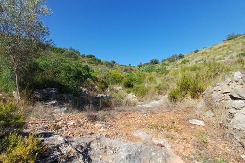 Finca i Oliva, Valencia, Oliva - € 314.000 | Ref: S-1580400 - foto 29