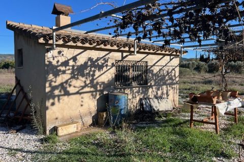 Finca i Ayora, Valencia, Ayora - € 35.000 | Ref: S-1591109 - foto 5
