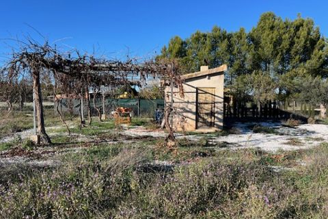 Finca i Ayora, Valencia, Ayora - € 35.000 | Ref: S-1591109 - foto 6