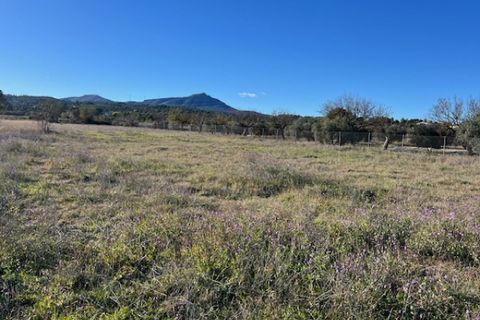Finca i Ayora, Valencia, Ayora - € 35.000 | Ref: S-1591109 - foto 14