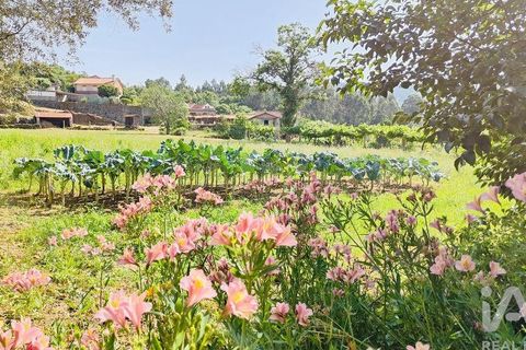 Byhus i Valenca, Viana do Castelo, Valenca - € 212.500 | Ref: 783663 - foto 33