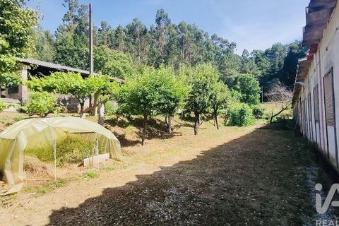 Byhus i Valenca, Viana do Castelo, Valenca - € 212.500 | Ref: 783663 - foto 34