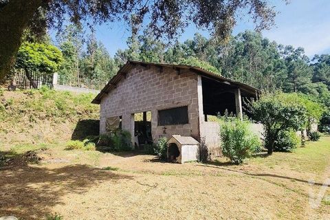 Byhus i Valenca, Viana do Castelo, Valenca - € 212.500 | Ref: 783663 - foto 35