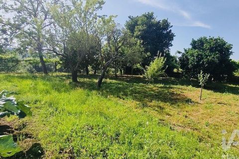 Byhus i Valenca, Viana do Castelo, Valenca - € 212.500 | Ref: 783663 - foto 37