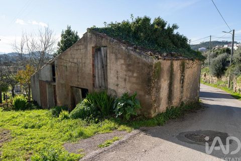 Helårsgrund i Coimbra, Coimbra, Coimbra - € 30.000 | Ref: 774486 - foto 2