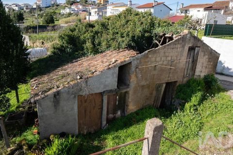 Helårsgrund i Coimbra, Coimbra, Coimbra - € 30.000 | Ref: 774486 - foto 5