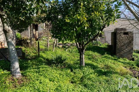 Helårsgrund i Coimbra, Coimbra, Coimbra - € 30.000 | Ref: 774486 - foto 8
