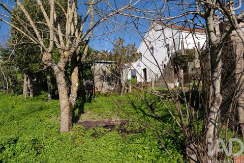 Helårsgrund i Coimbra, Coimbra, Coimbra - € 30.000 | Ref: 774486 - foto 9