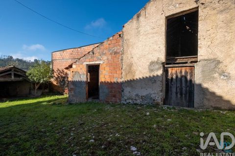 Byhus i Arganil, Coimbra, Arganil - € 129.500 | Ref: 786913 - foto 23