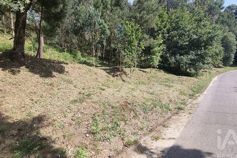 Terra a Valenca, Viana do Castelo, Valenca - € 43.750 | Ref: 783729 - foto 2