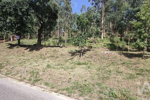 Terra a Valenca, Viana do Castelo, Valenca - € 43.750 | Ref: 783729 - foto 3