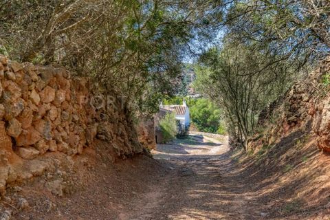 Landejendom i Es Grau, Menorca, Es Grau - € 2.250.000 | Ref: C702 - foto 14